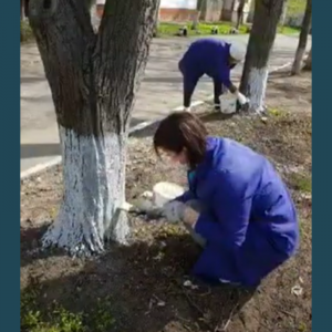 Campania municipală „Curățenia generală de primăvară”